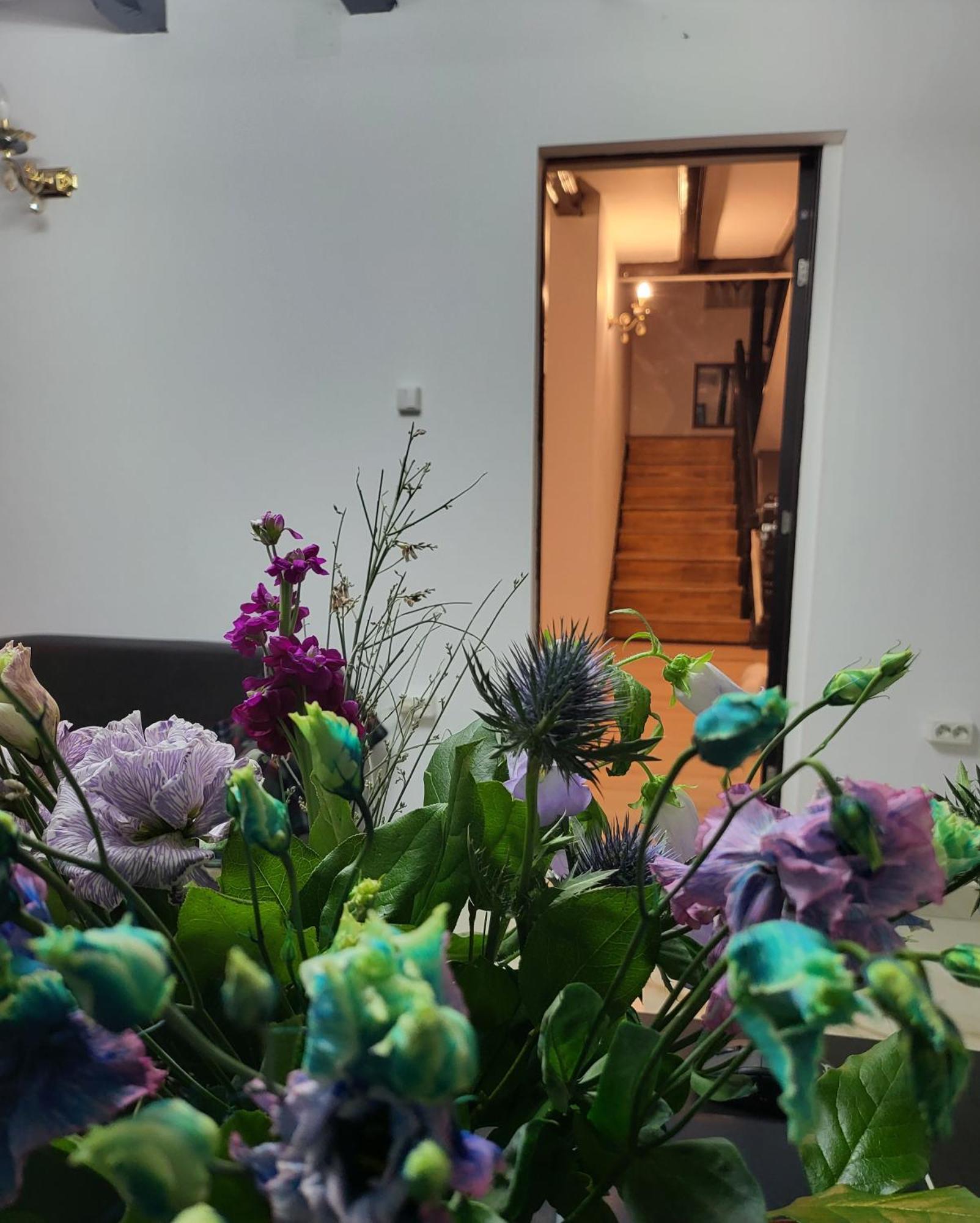 Adac Boutique Hotel Pantelimon Kültér fotó