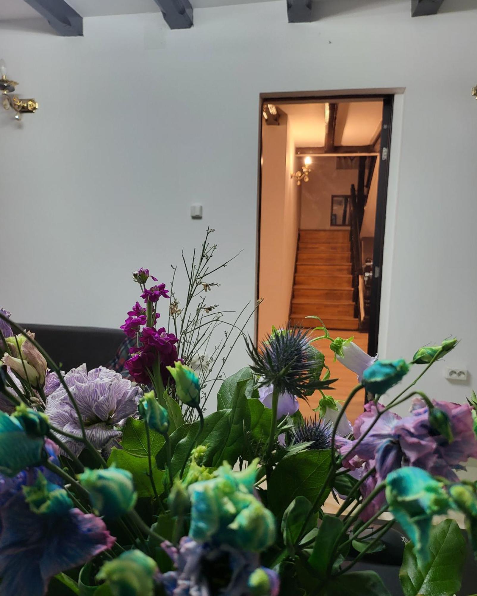 Adac Boutique Hotel Pantelimon Kültér fotó